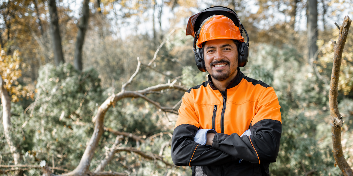Tree Service